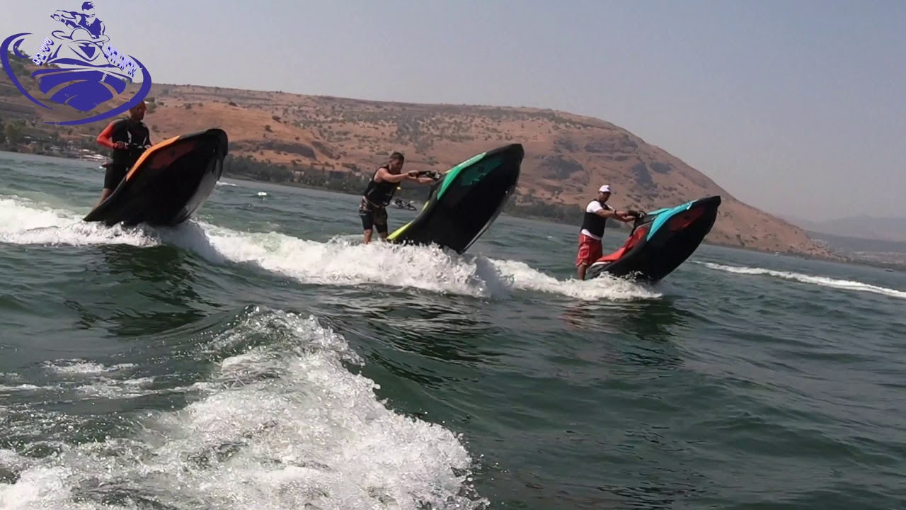 אריות הים שישי בים כנרת 2019 jet ski Sea lions