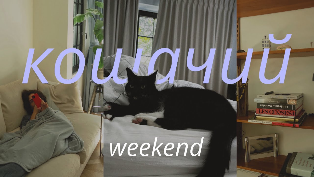Живу в роскошном доме бесплатно 🐈🏠 TRUSTED  HOUSE SITTERS: мой опыт
