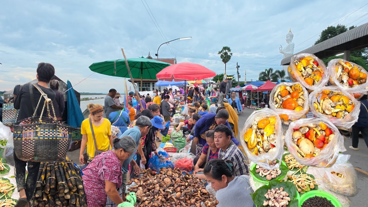 ตลาดนัดไทย-ลาว อ.ธาตุพนม อาหารป่า ปลาน้ำโขง จิโป่ม จังหวัดนครพนม #อาหารตามฤดูกาล #food #เลาะตลาด
