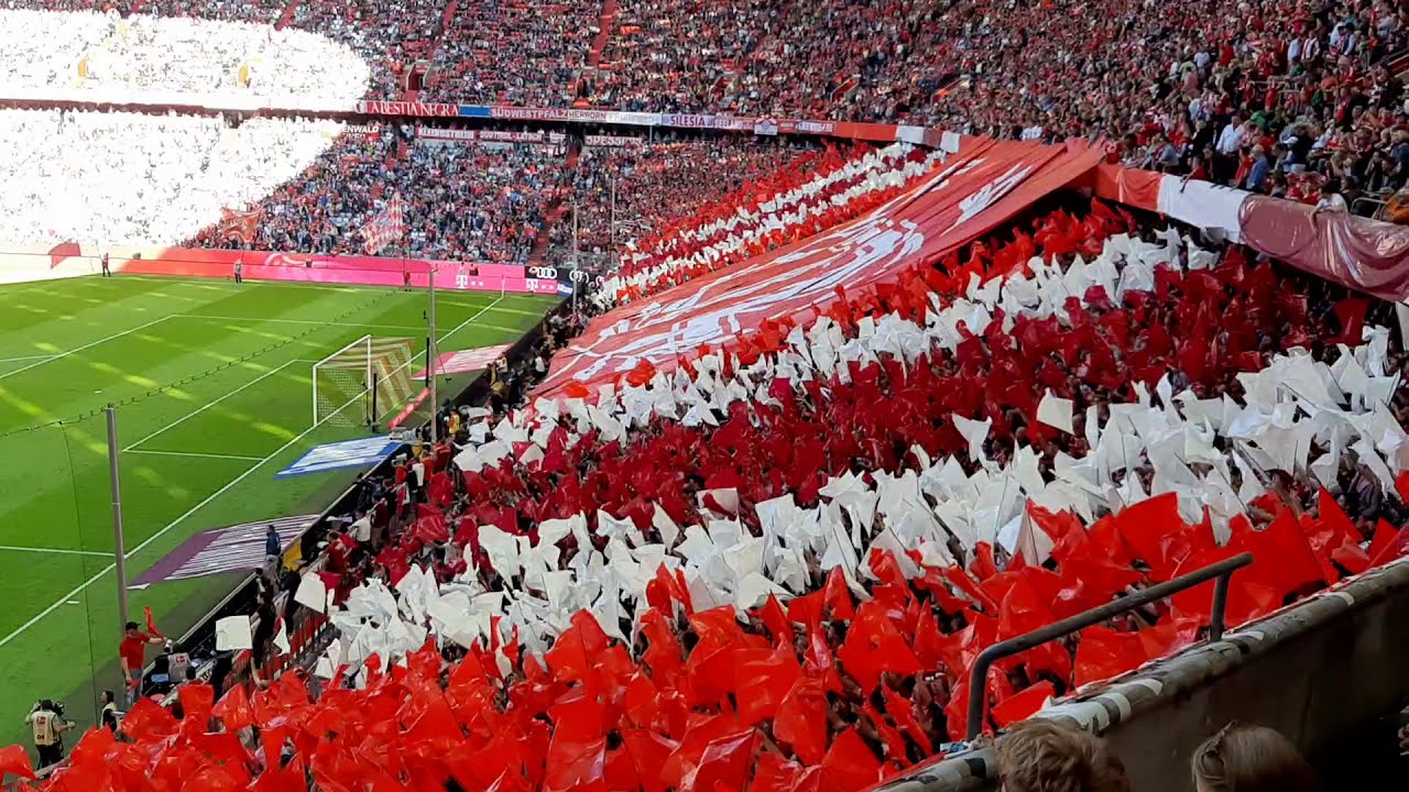 FC Bayern München - 1. FC Köln 4:0 (1:0), 21.09.2019, vor dem Spiel