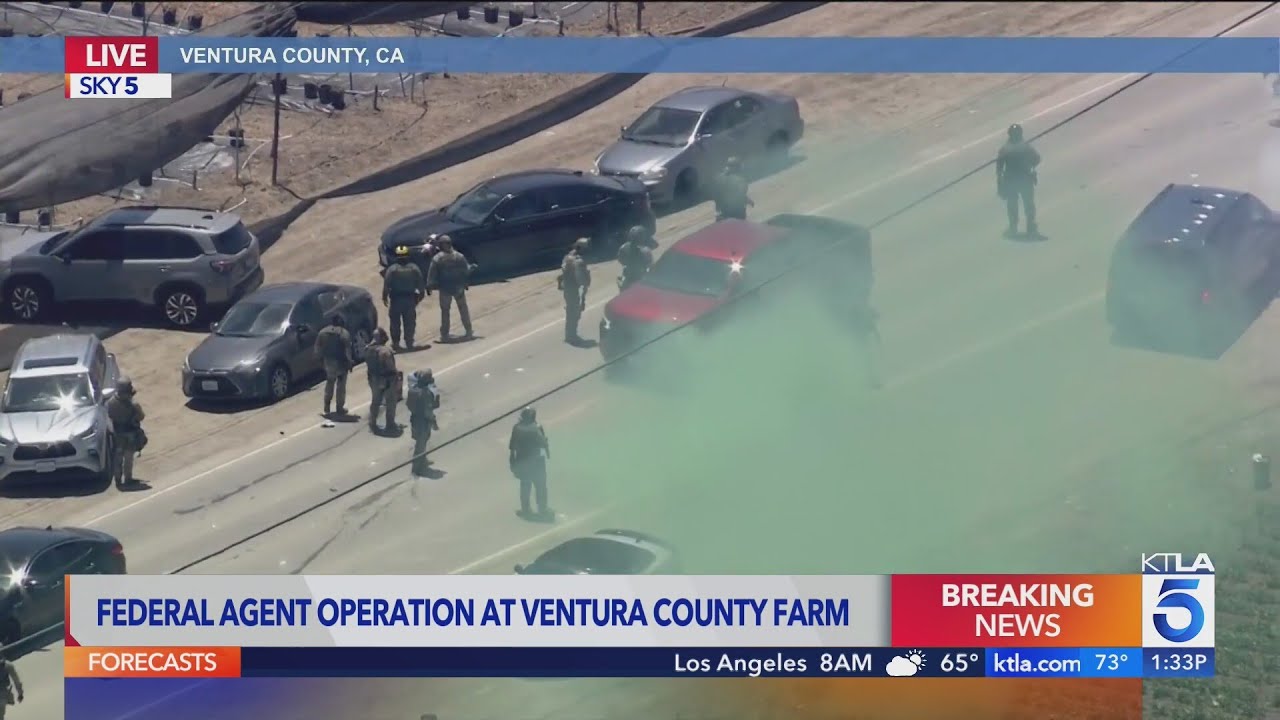 Tear gas deployed as protesters disrupt Ventura Co. raid