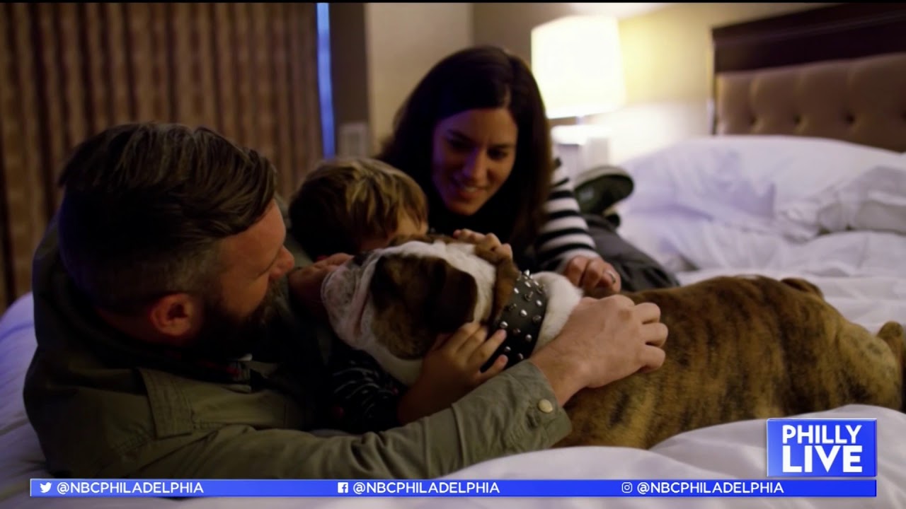 Dog Friendly Fun in Montgomery County | NBC10's Philly Live