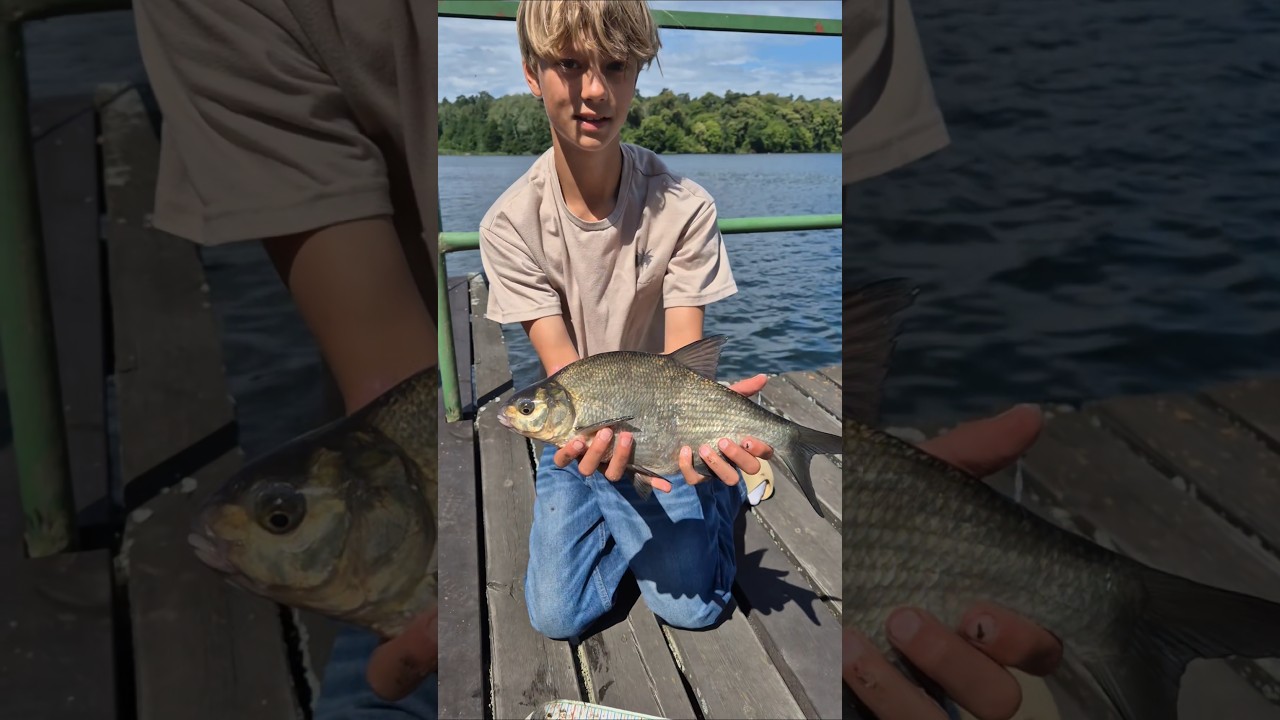 8 dzień oboz&oacute;w wędkarskich! #FishingCamp #camp #summer #hobby #pasja #fishingcamp #camp