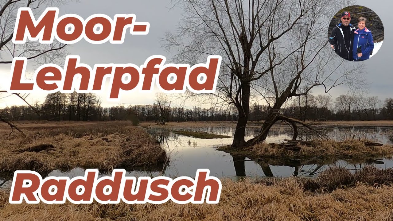 Moorlehrpfad Raddusch