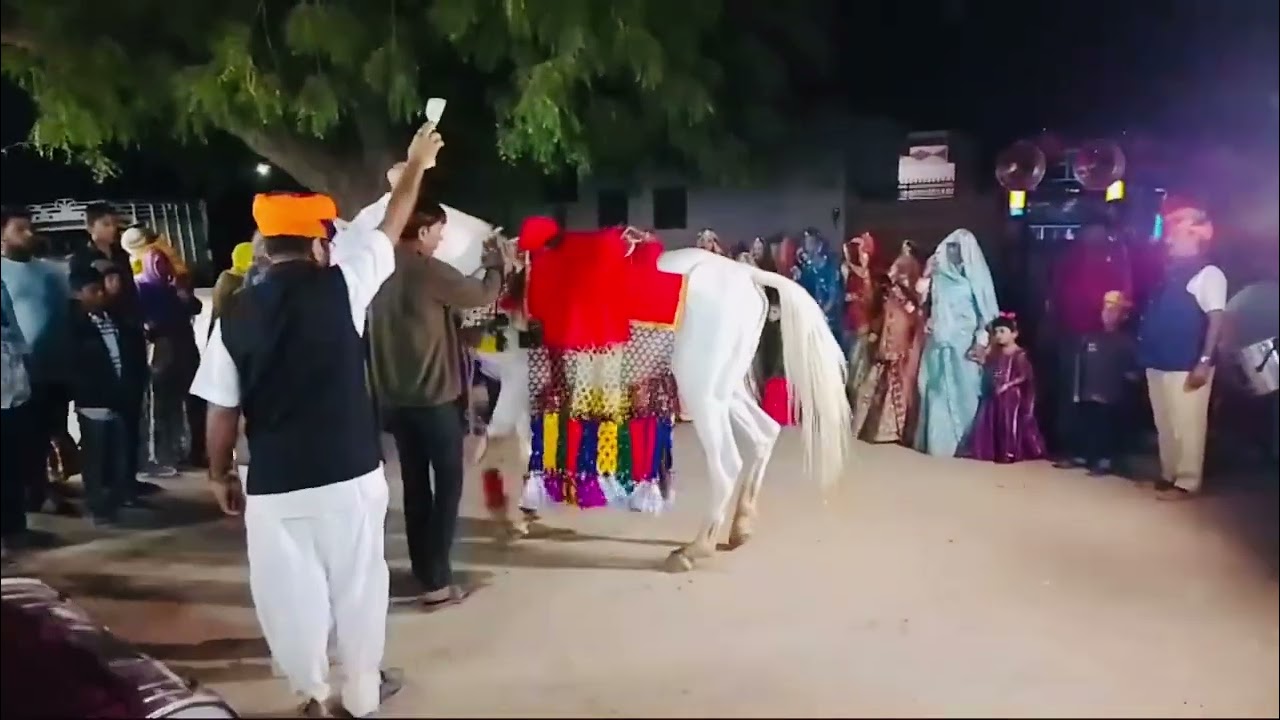राजस्थानी ठोल थाली पर घोड़े का बोहोत हि सुंदर डान्स 😱😱🎠🎠