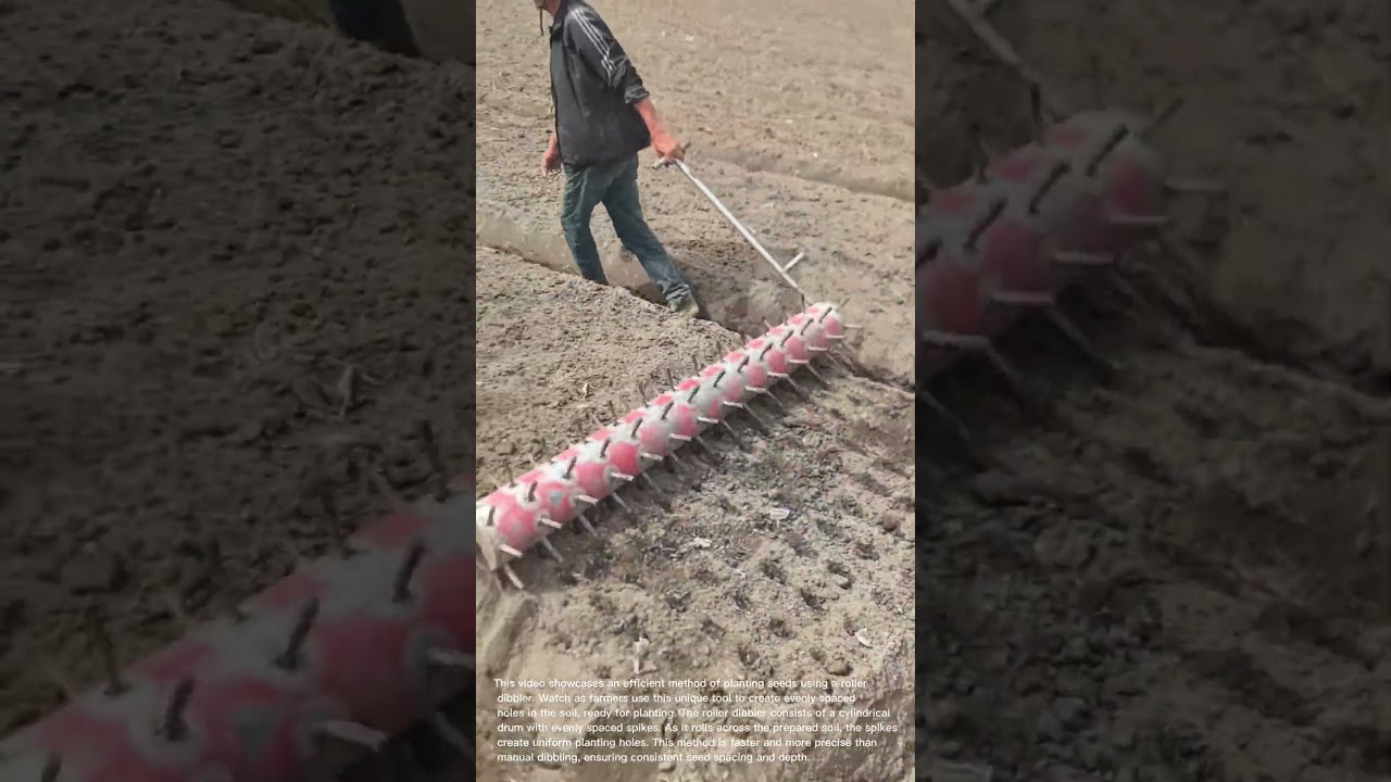 Efficient Farming: Using a Roller Dibbler for Planting Seeds