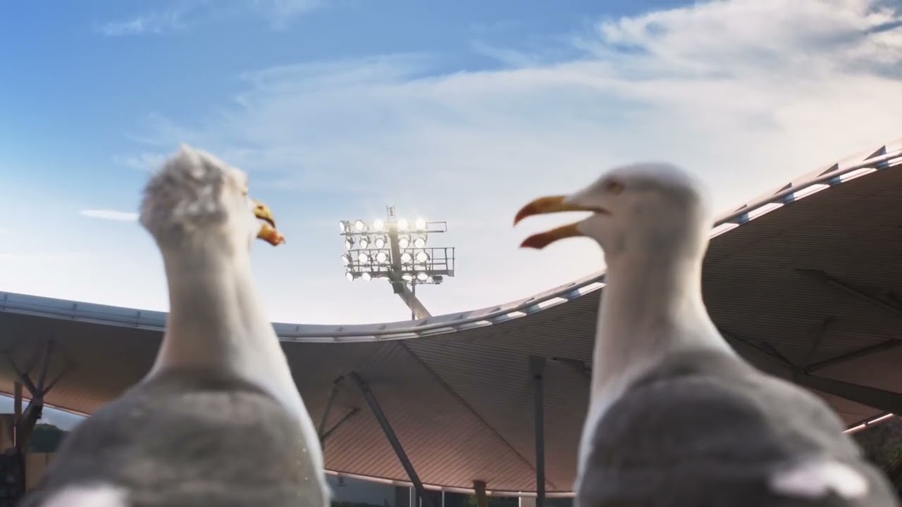 Marius et Sylvain vibrent dans le virage sud (Film 2024)