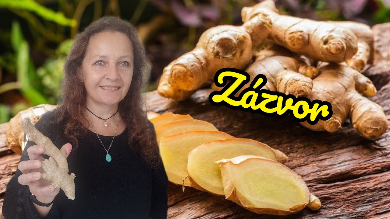 Z&aacute;zvor: Elix&iacute;r života