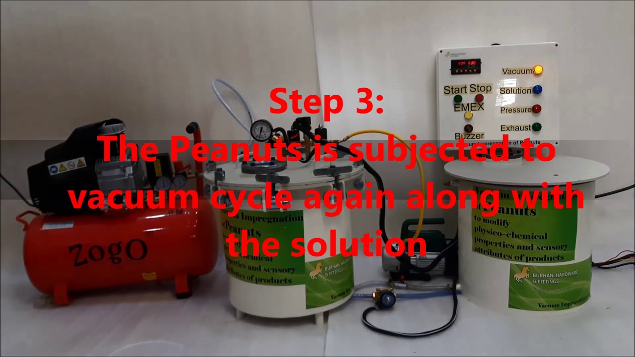 vacuum pressure impregnation of peanuts full automatic