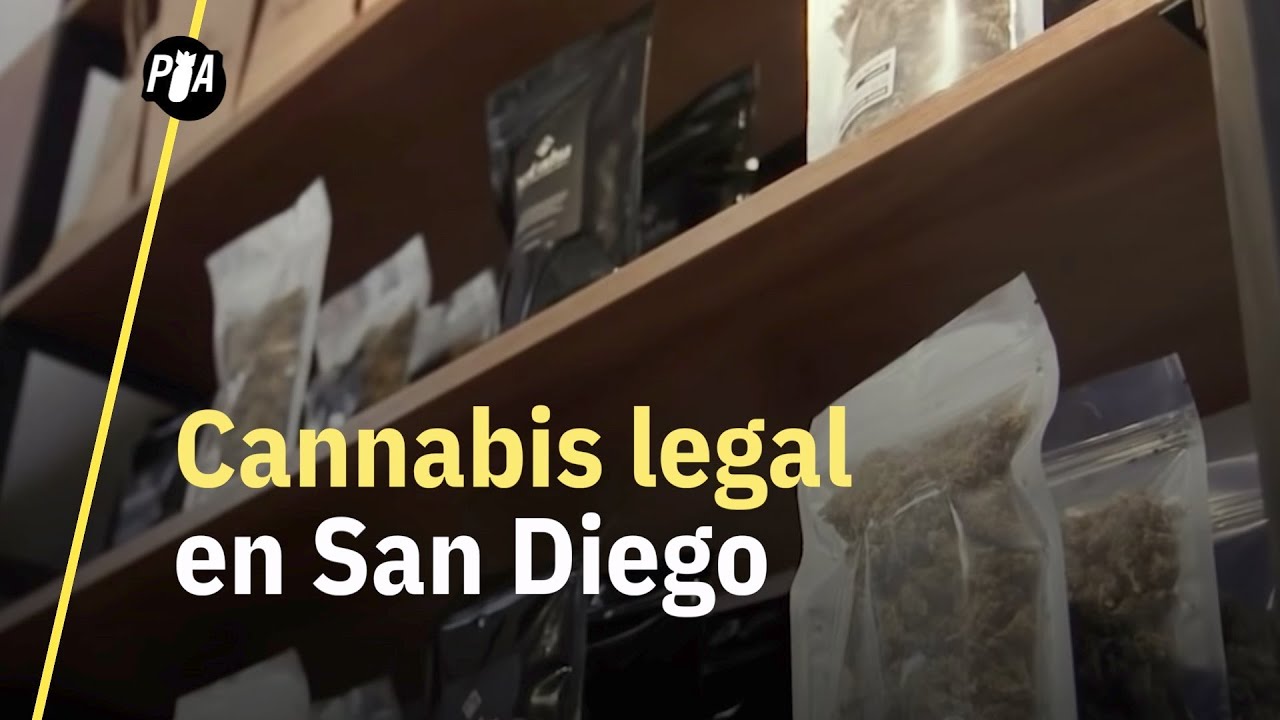 As&iacute; es comprar cannabis legal en San Diego, California