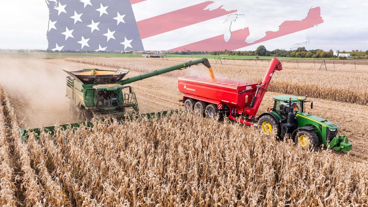 Big Corn Harvest 2024 in American Style | John Deere X9 1100, John Deere 8345R & John Deere 8320RT