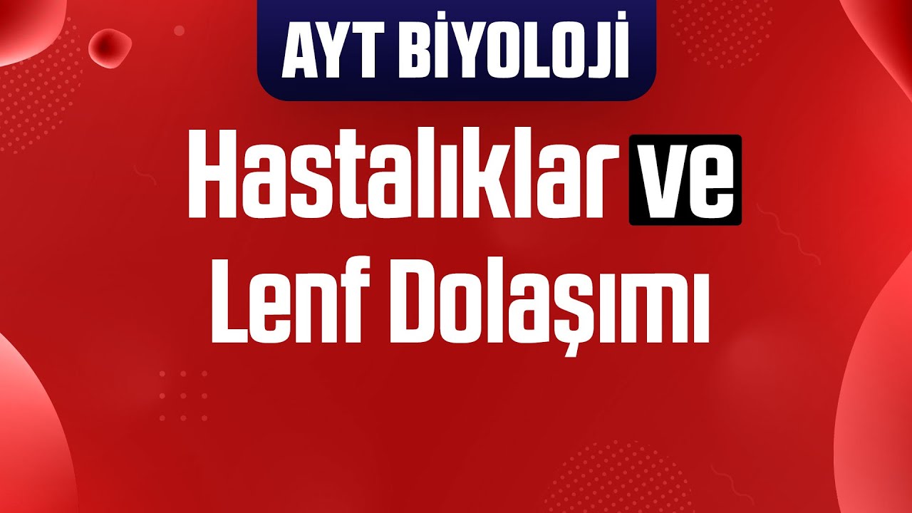 22) Dolaşım Sistemi : Hastalıklar ve Lenf Dolaşımı