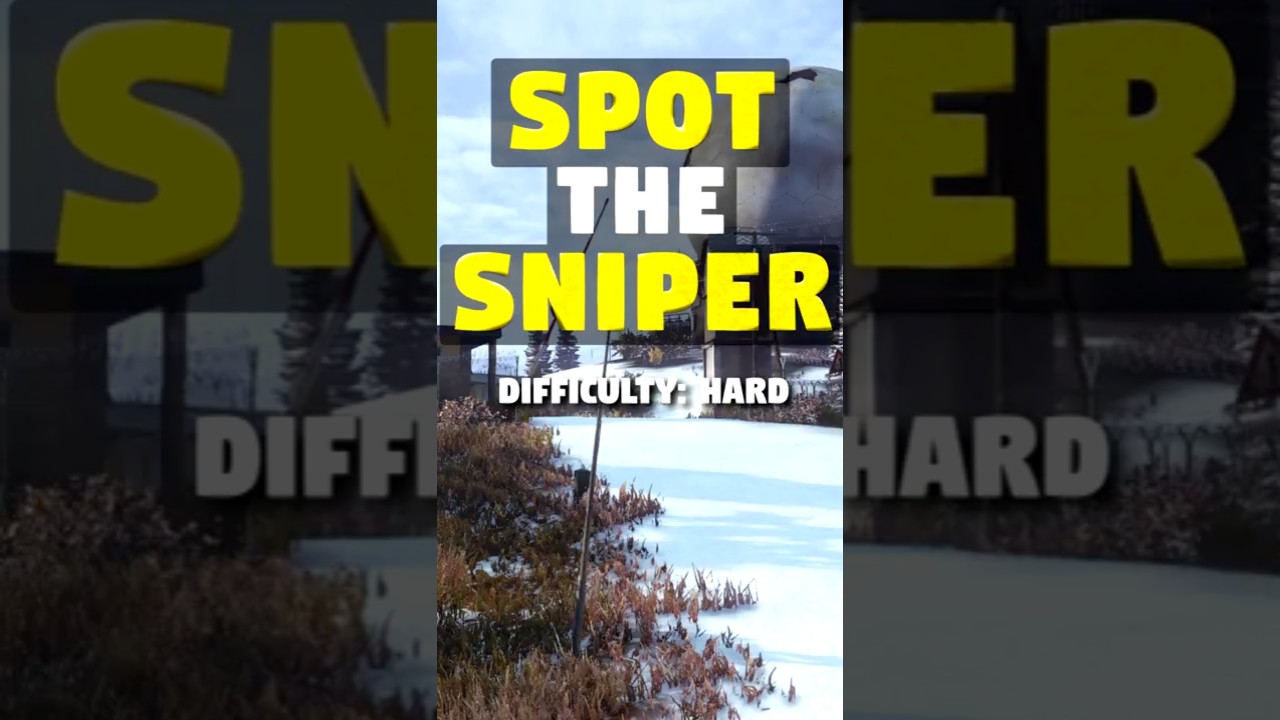 DayZ サカール 隠しスナイパー レーダー 軍事 PVP ギリー レーダー 軍事