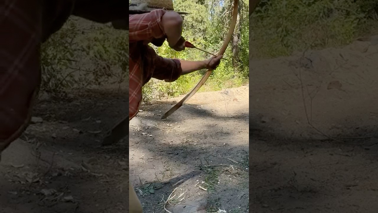 The secret to making fast bows from living trees #archery #survival #camping #outdoors #bowhunting