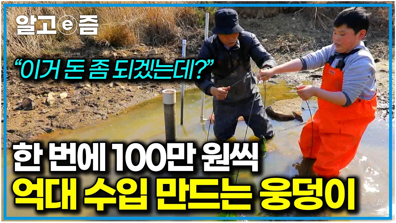 산속에 각 잡고 웅덩이 팠더니.. 억대 수입 만드는 신기한 웅덩이의 정체는?｜한국기행｜알고e즘