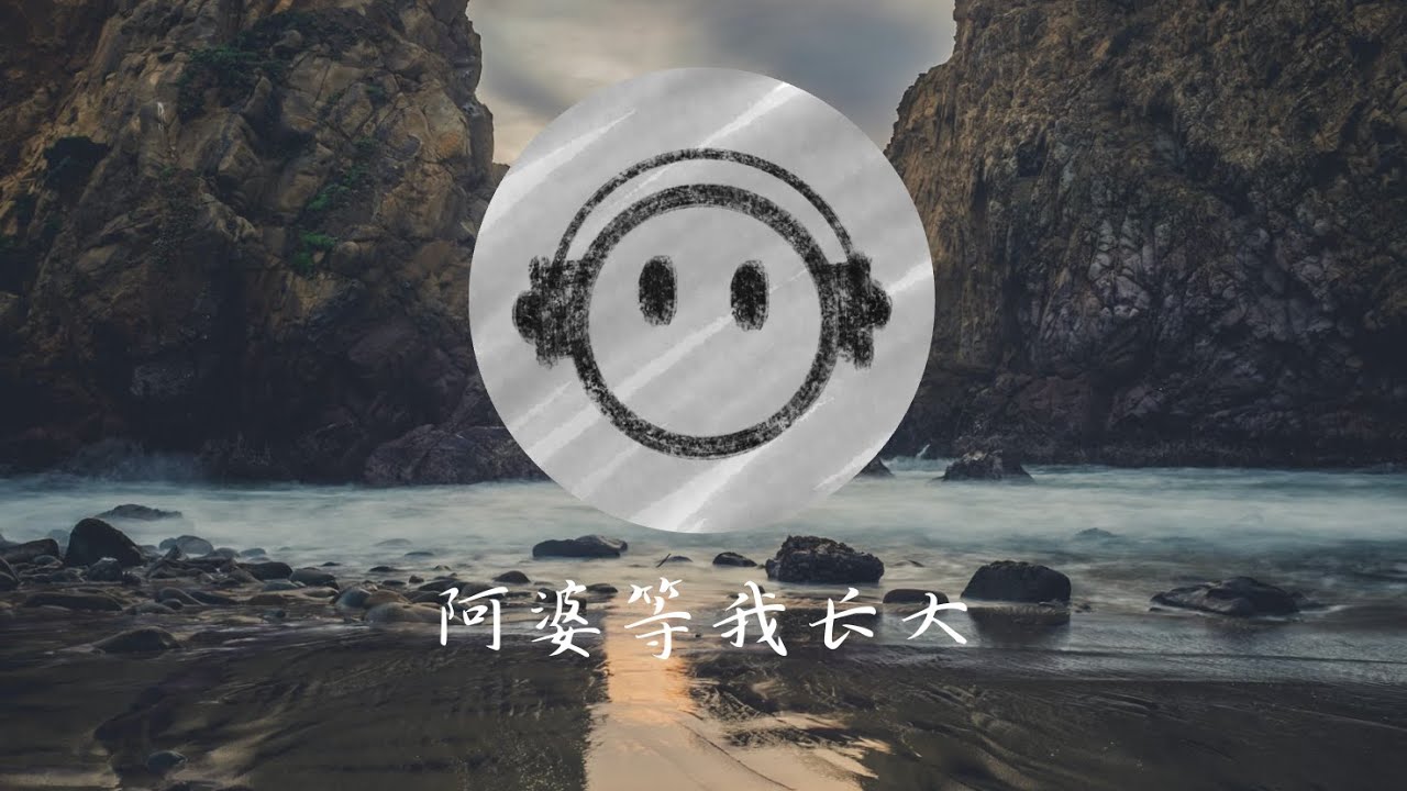 阿婆等我长大 – 一首写给阿婆，希望她慢点老去的歌 | Bryan Lim