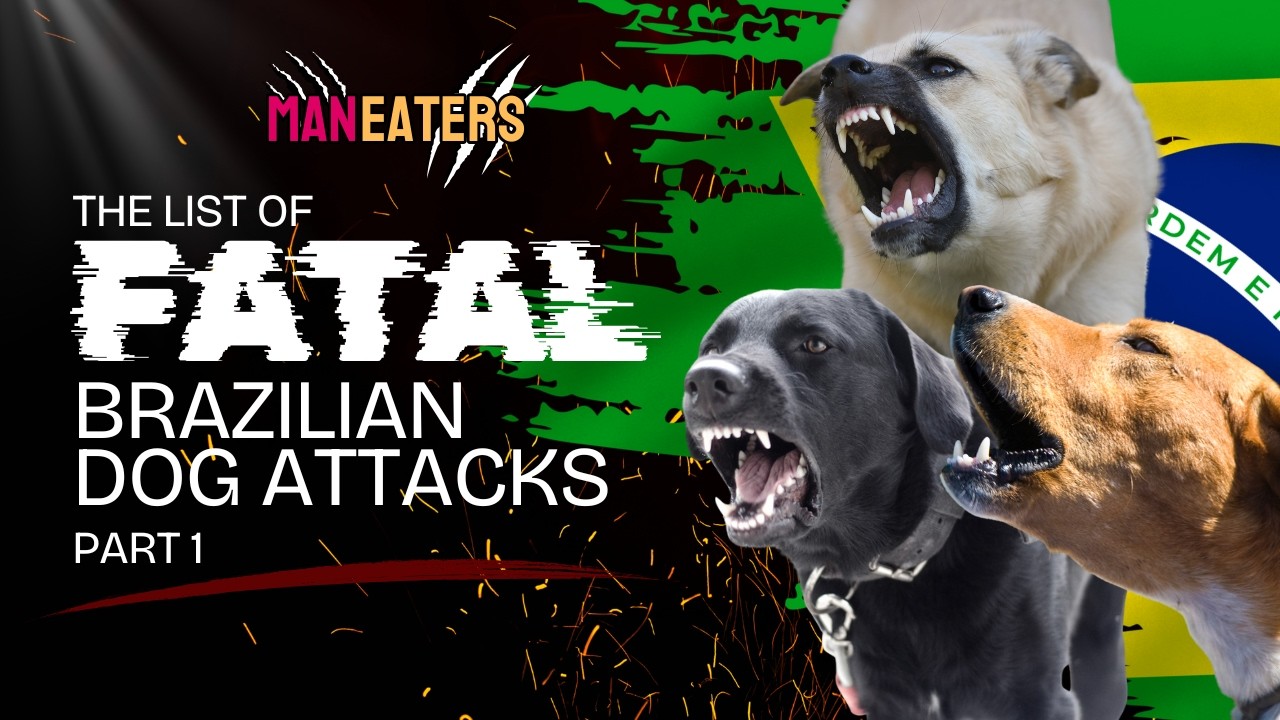 Ep 150: Fatal Brazilian Dog Attacks PART I