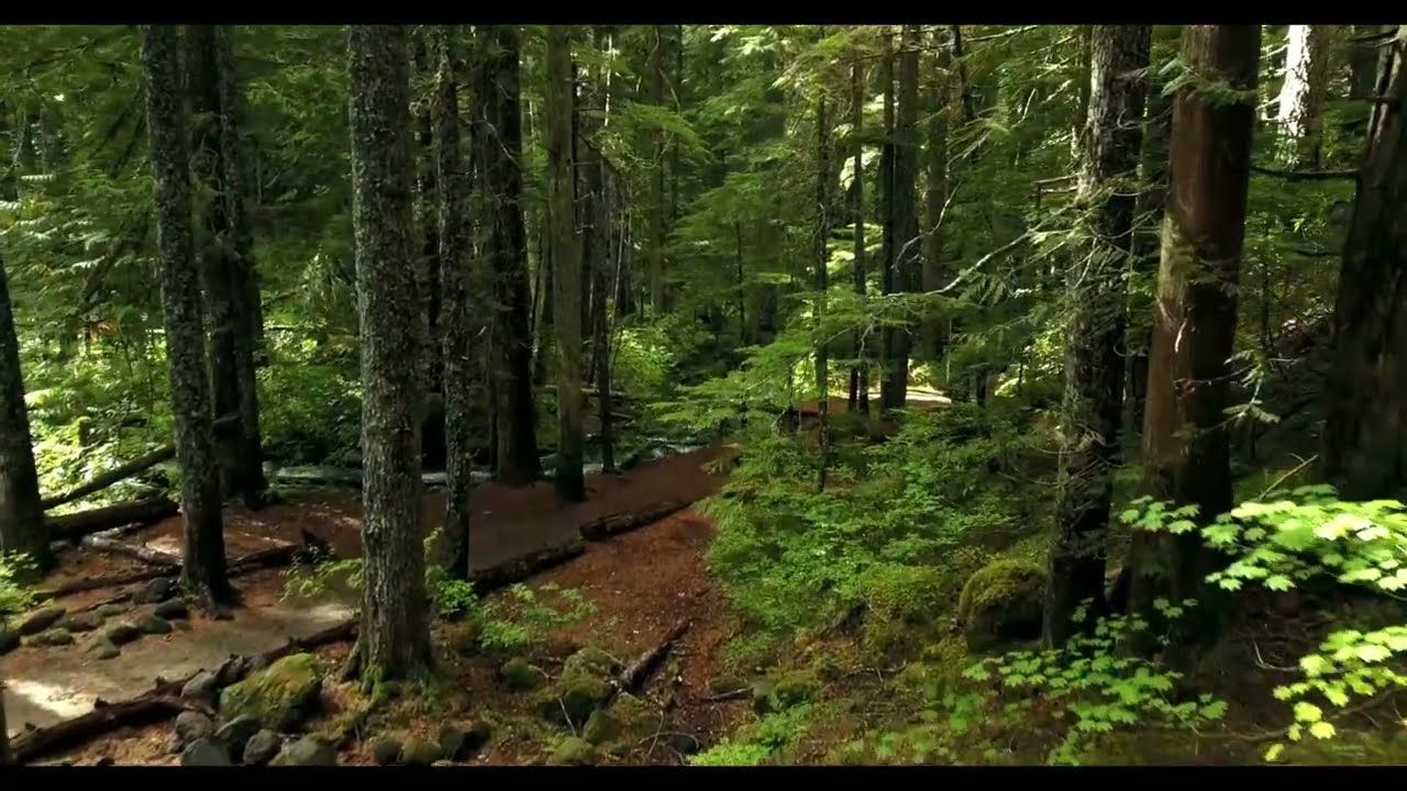 Oare cui săi spun durerea