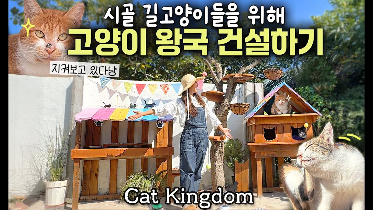방치된 정원 한 구석을 시골 길고양이 전용 '고양이 왕국'으로 변신시켰어요! 과연 반응은?? |  나리온 멀티커터, 스프레이건