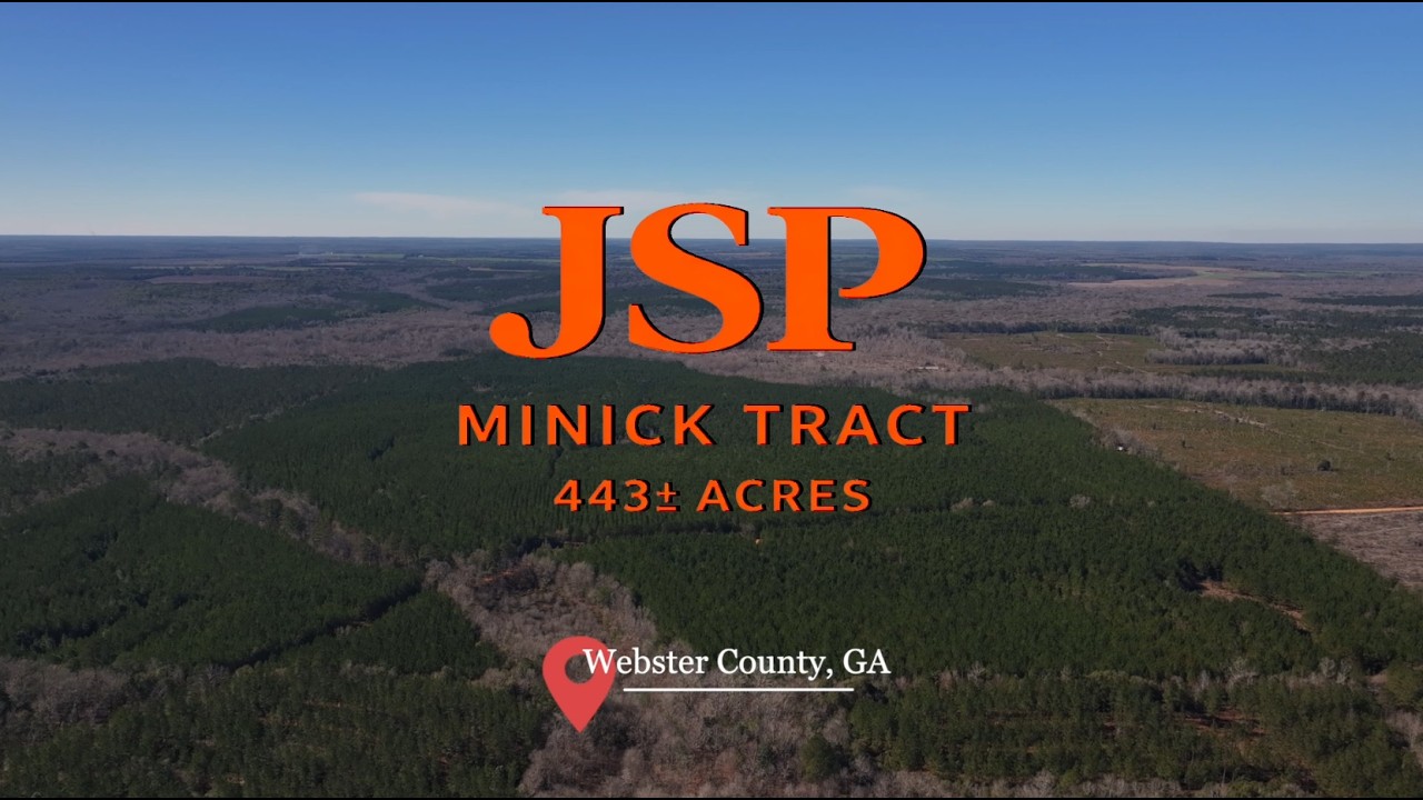 Minick Tract - 443± Total Acres - Merchantable Planted Pine - Kinchafoonee Creek Frontage