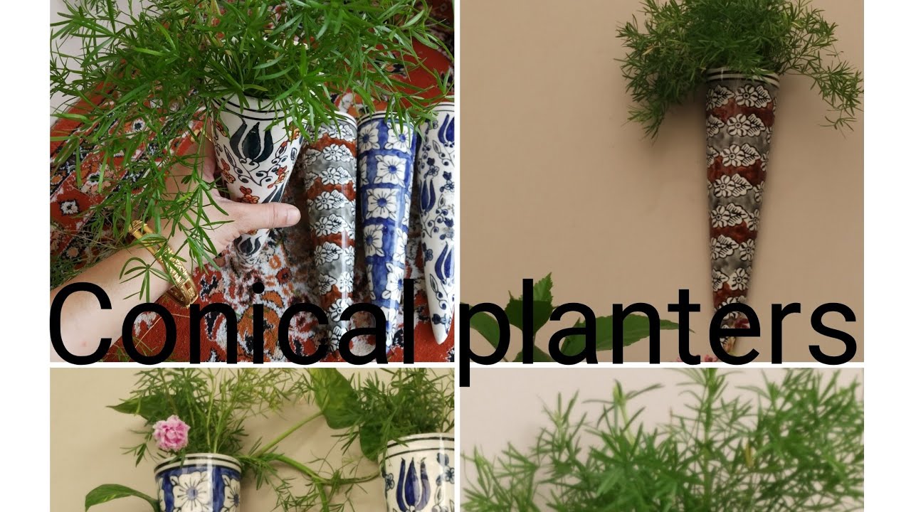 Conical planters / Decorative plants 👉 plants growing method