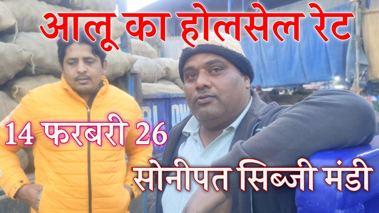 आलू का ताजा भाव  सोनीपत सब्जी मंडी | आलू के भाव में भारी गिरावट से किसान का बहुत बुरा हाल हो गया है
