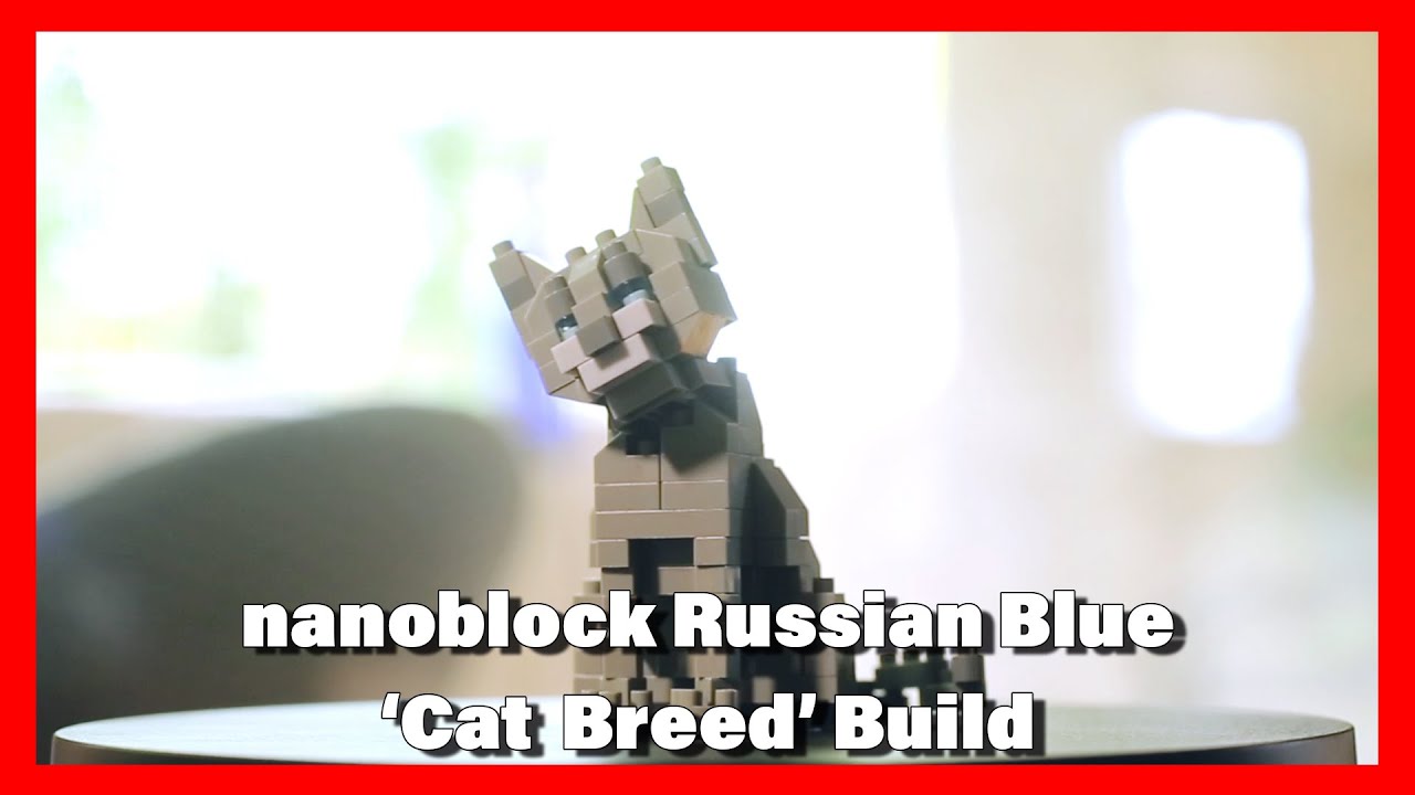 nanoblock Russian Blue 'Cat Breeds' Build