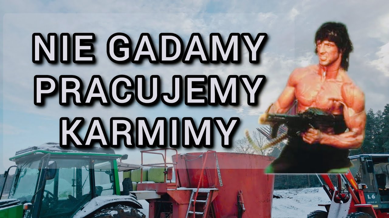 TMR dla moich SIMENTALI #BYDŁO MLECZNE NA WYPASIE!!!