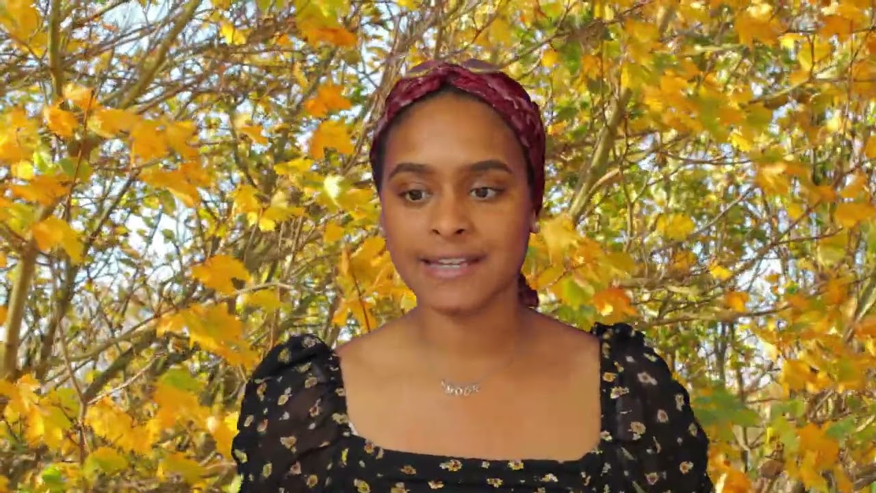 Autumn Leaves Today featuring Bela talking.