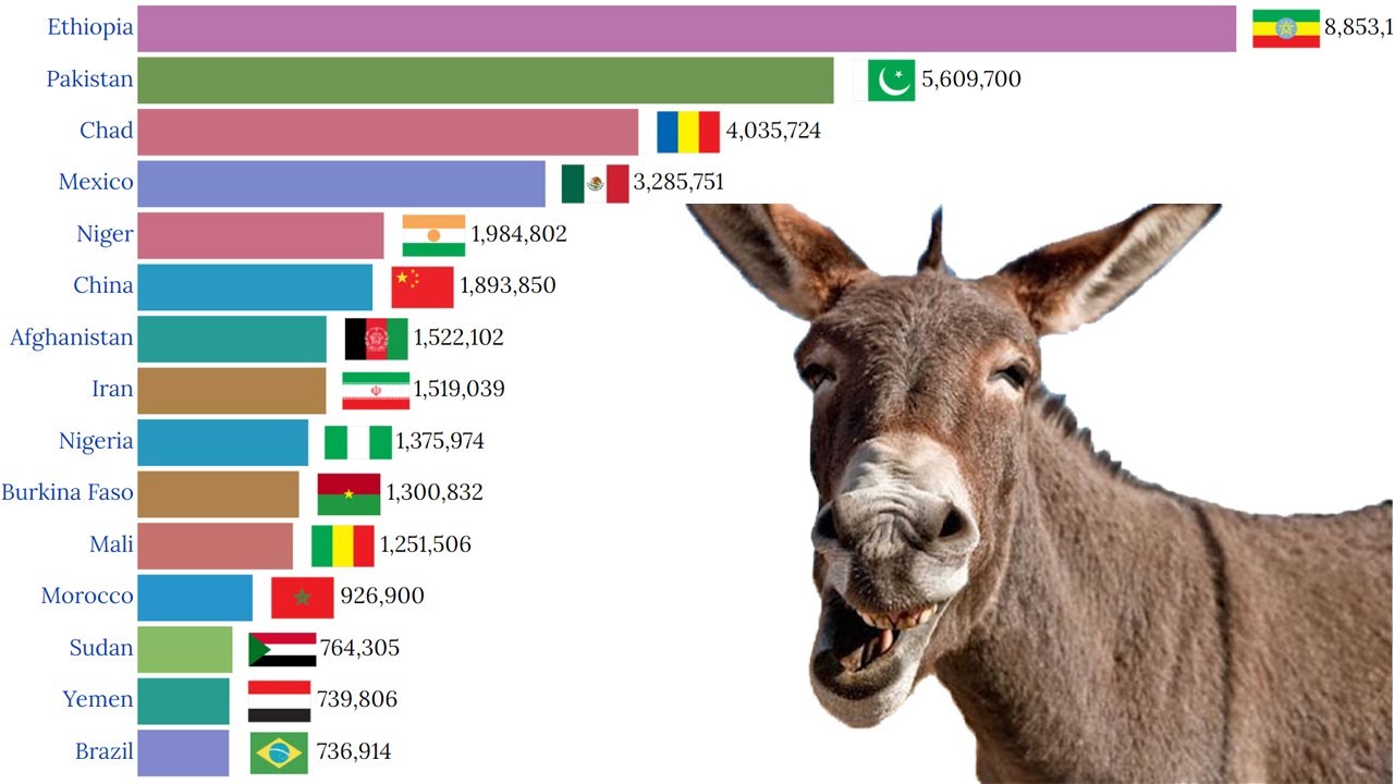 Data Is Beautiful - Countries With The Highest Number of Donkey