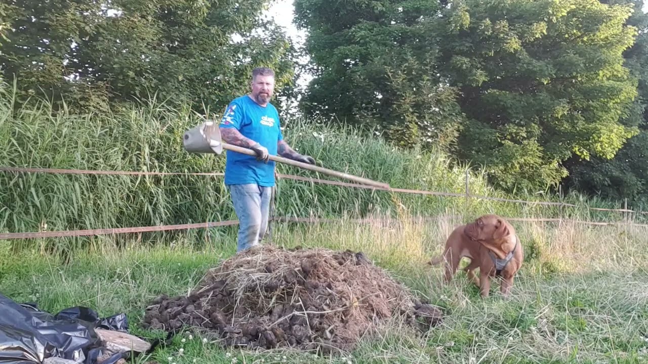 1e x composteren van paardenmest😓😖 spannend