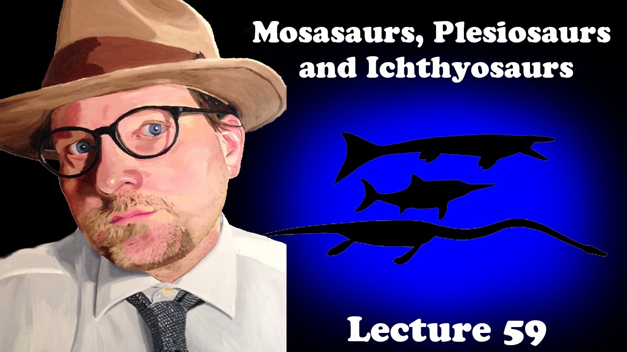 Лекция 59 Мозазавры, плезиозавры и ихтиозавры