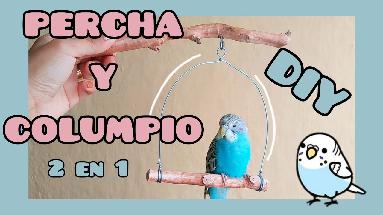 ¡Haz tus propios columpios! | DIY | Periquitos Australianos
