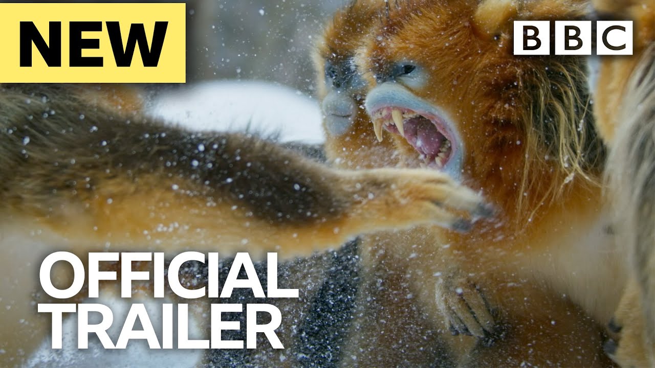 Seven Worlds, One Planet: Trailer - BBC Earth