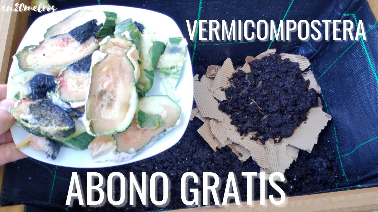 CÓMO INICIAR UNA VERMICOMPOSTERA EN CASA: convierte tu BASURA en HUMUS DE LOMBRIZ || en20metros