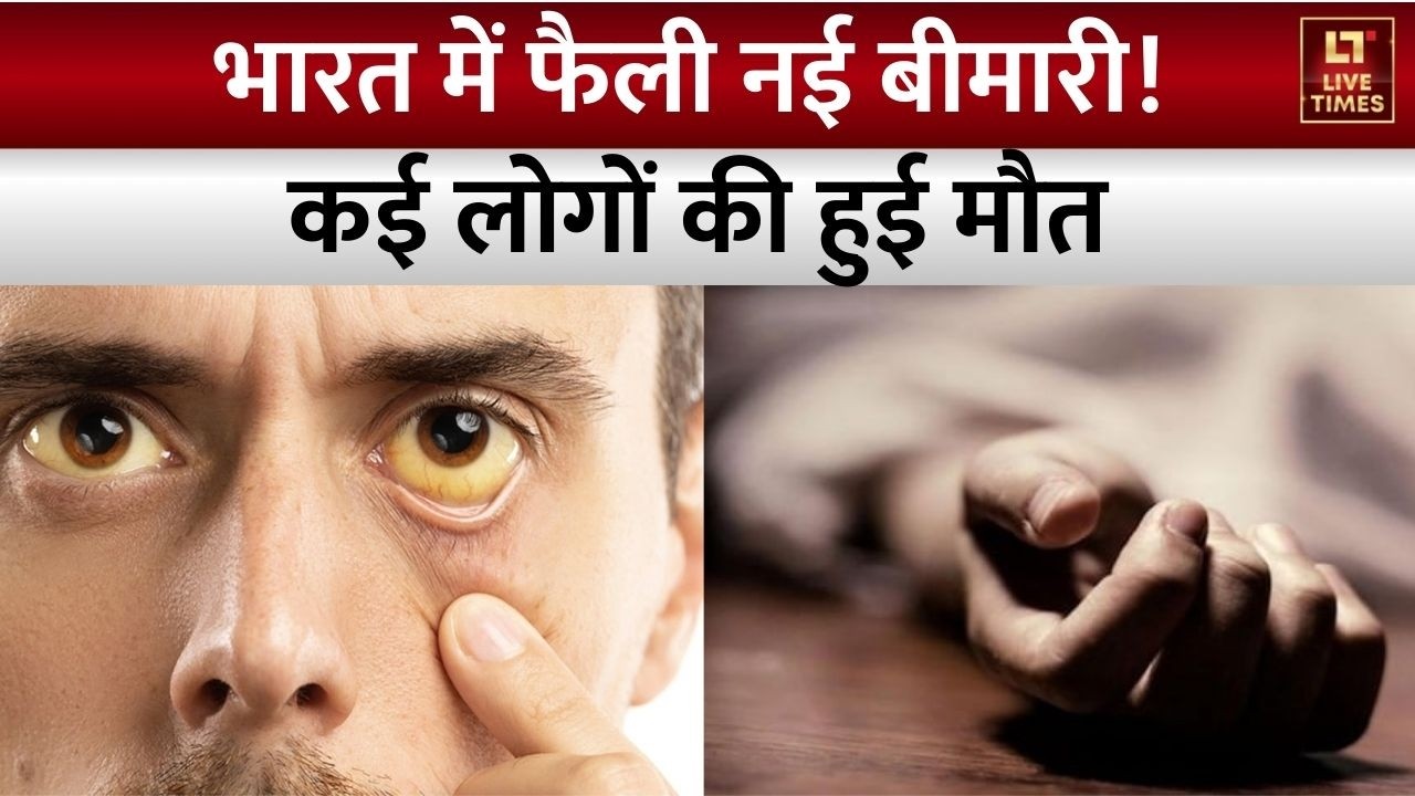 Haryana के पलवल में छायंसा में काले पीलिया से खौफ, अब तक 7 लोगों की मौत | Jaundice