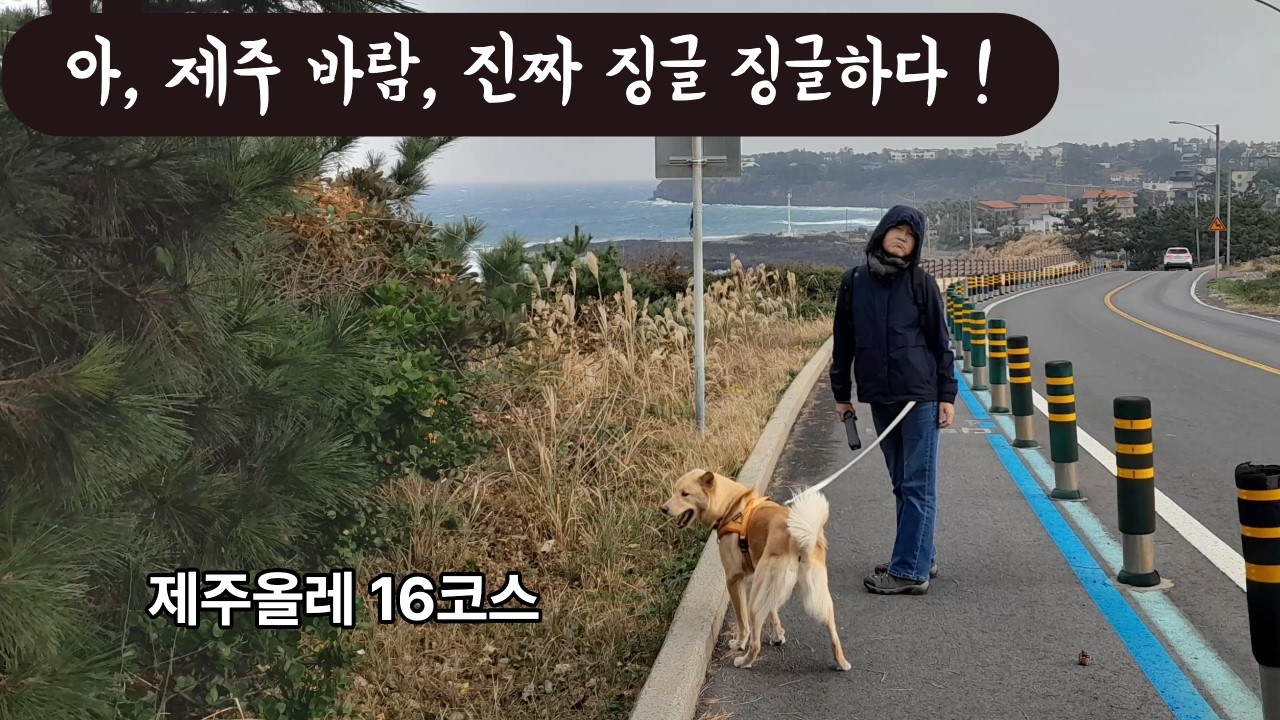 광복이해방이와함께걷는올레길16코스