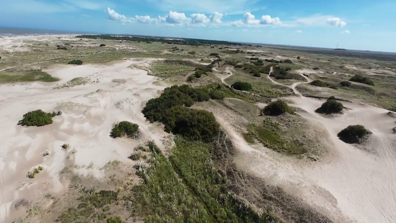 DJI NUEVA ATLANTIS - 2026-03-01