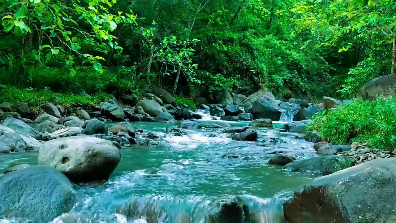 Beautiful Flowing Stream - Soothing Nature ASMR for Sleep, Focus and Relaxation, ASMR
