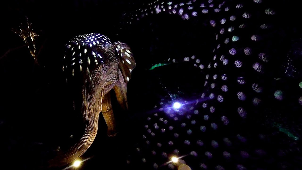 Rainy Christmas Lights Stroll at Sudeley Castle | Festive Illumination in the Cotswolds!