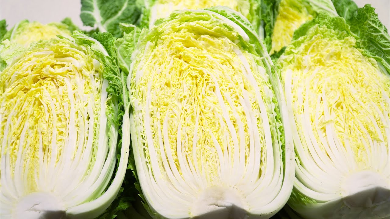 배추절이기 어렵지 않아요 쉽게 배워보는 배추 절이는 법