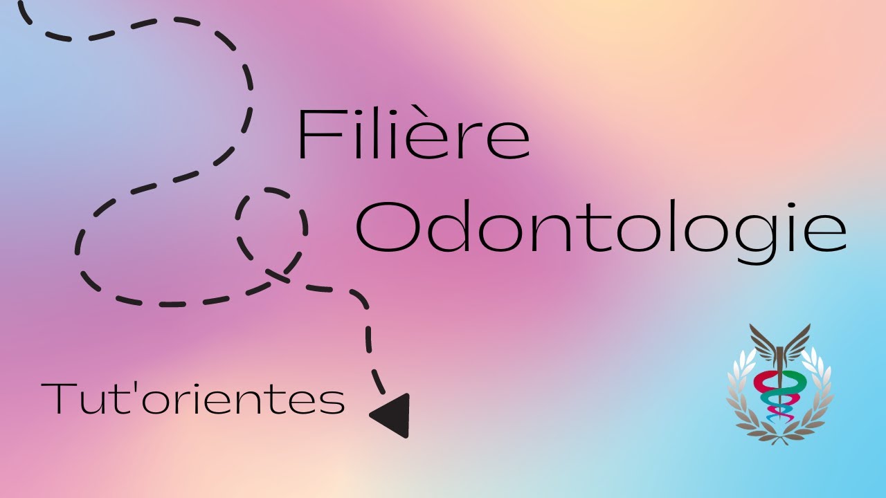 Les études d'odontologie