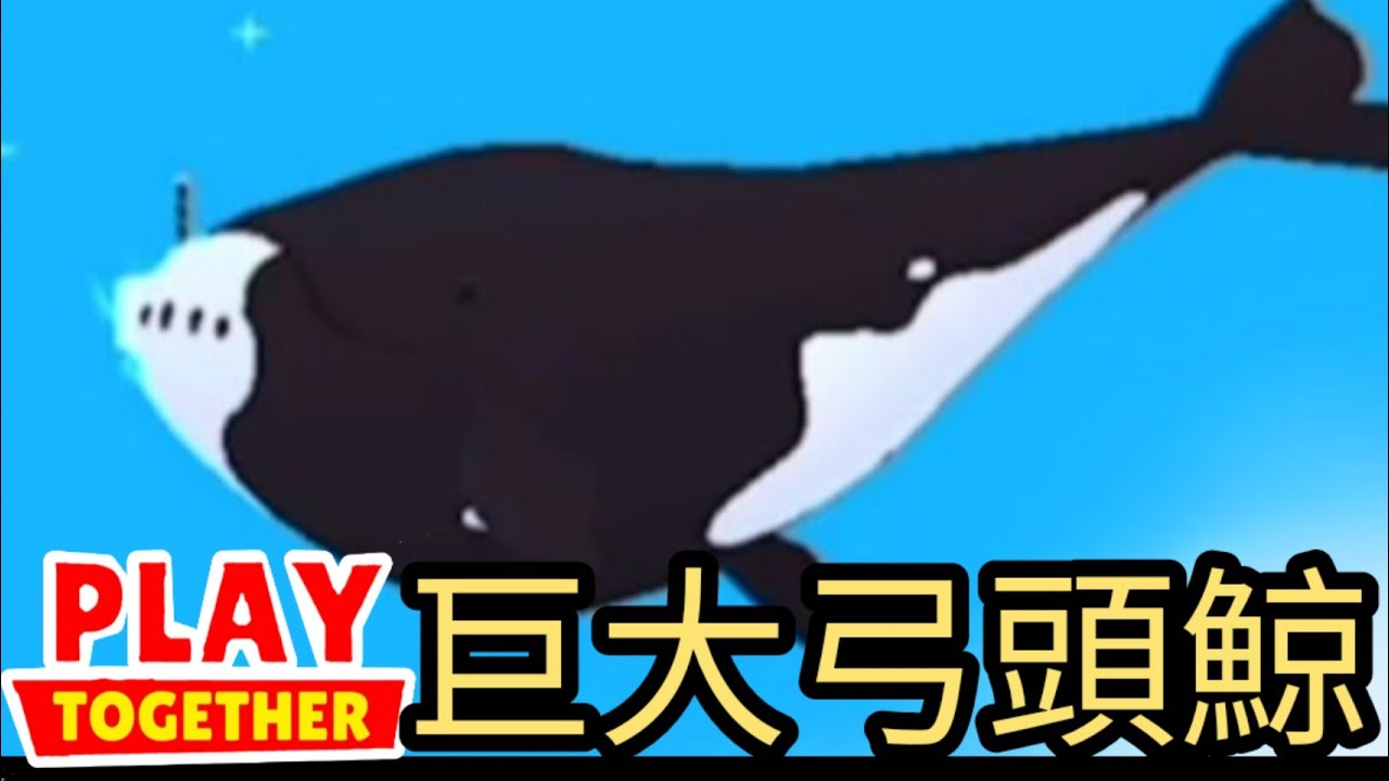天天玩樂園｜弓頭鯨 滄龍 6種大型魚影曝光~想要釣到的快來看看!!｜Play Together｜天天玩乐园