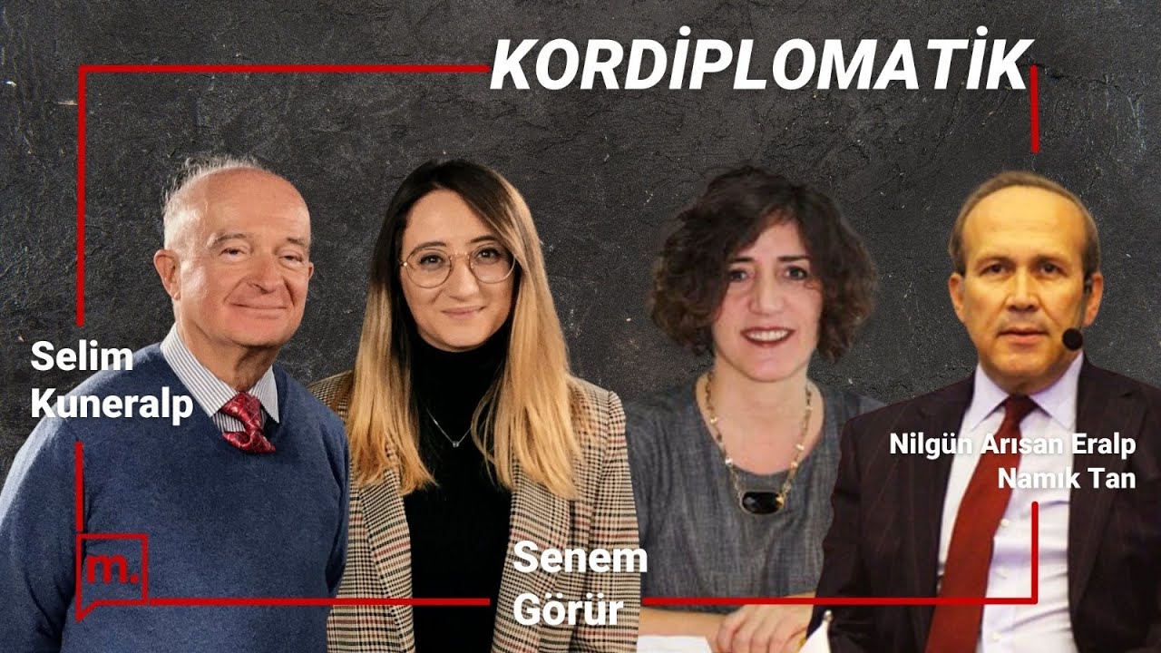 T&uuml;m y&ouml;nleriyle vize krizi: T&uuml;rk vatandaşlarına neden vize verilmiyor?