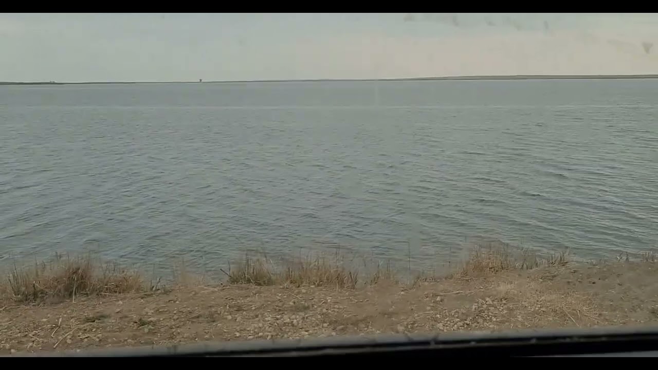 Daisy is spring loaded!