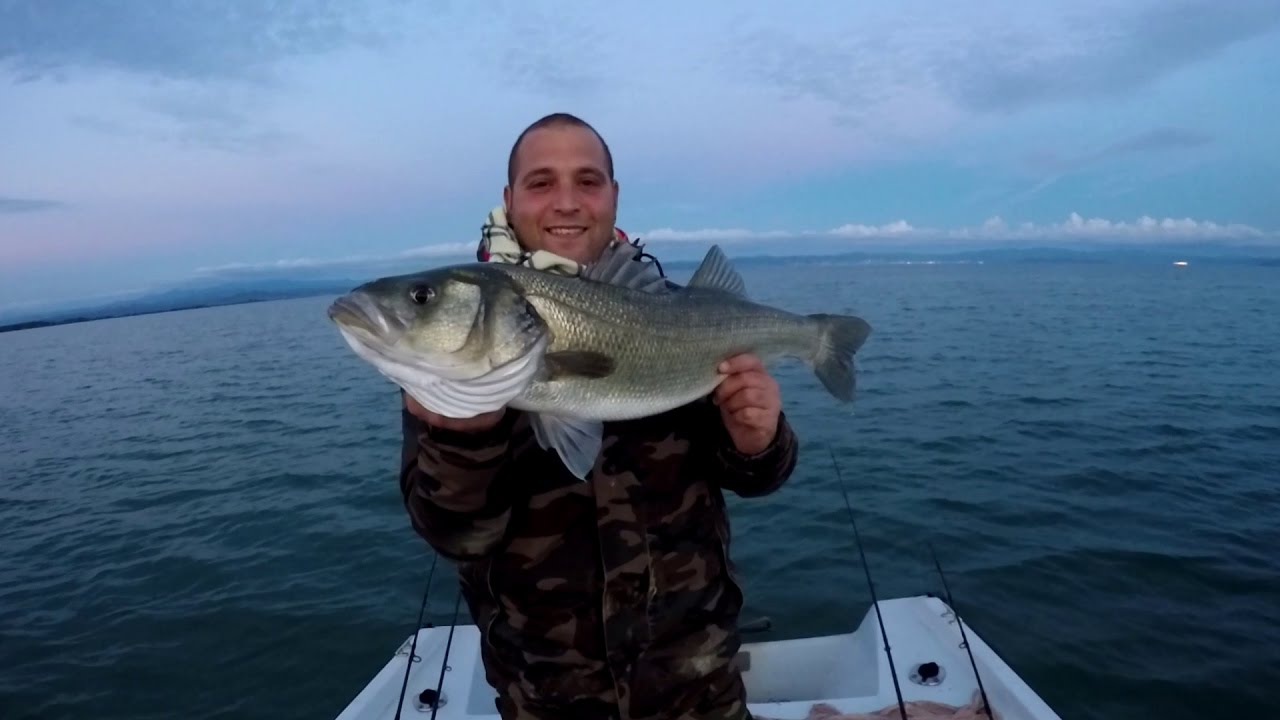 WTD Spigolona a Spinning