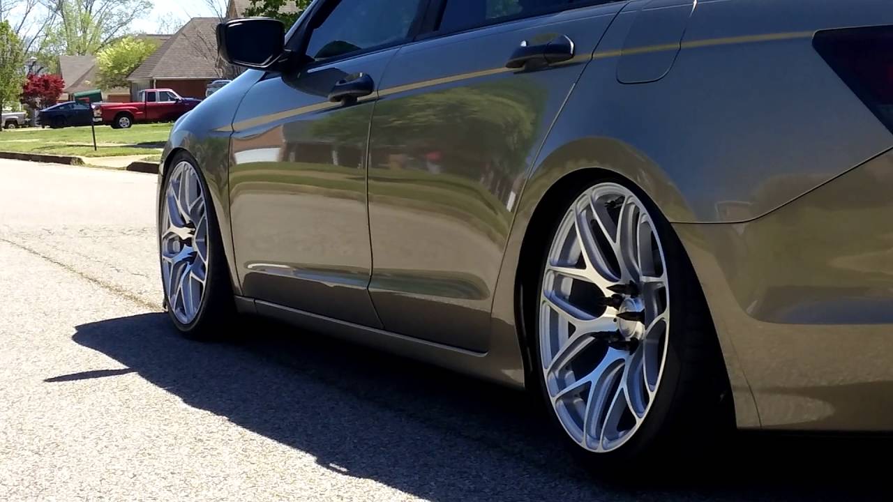 8th gen accord #GOLDILOCKS riding static