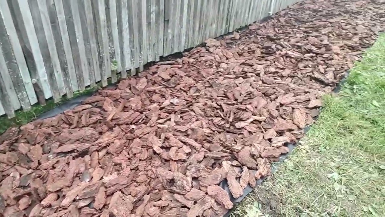 14 августа 2025г. Дача