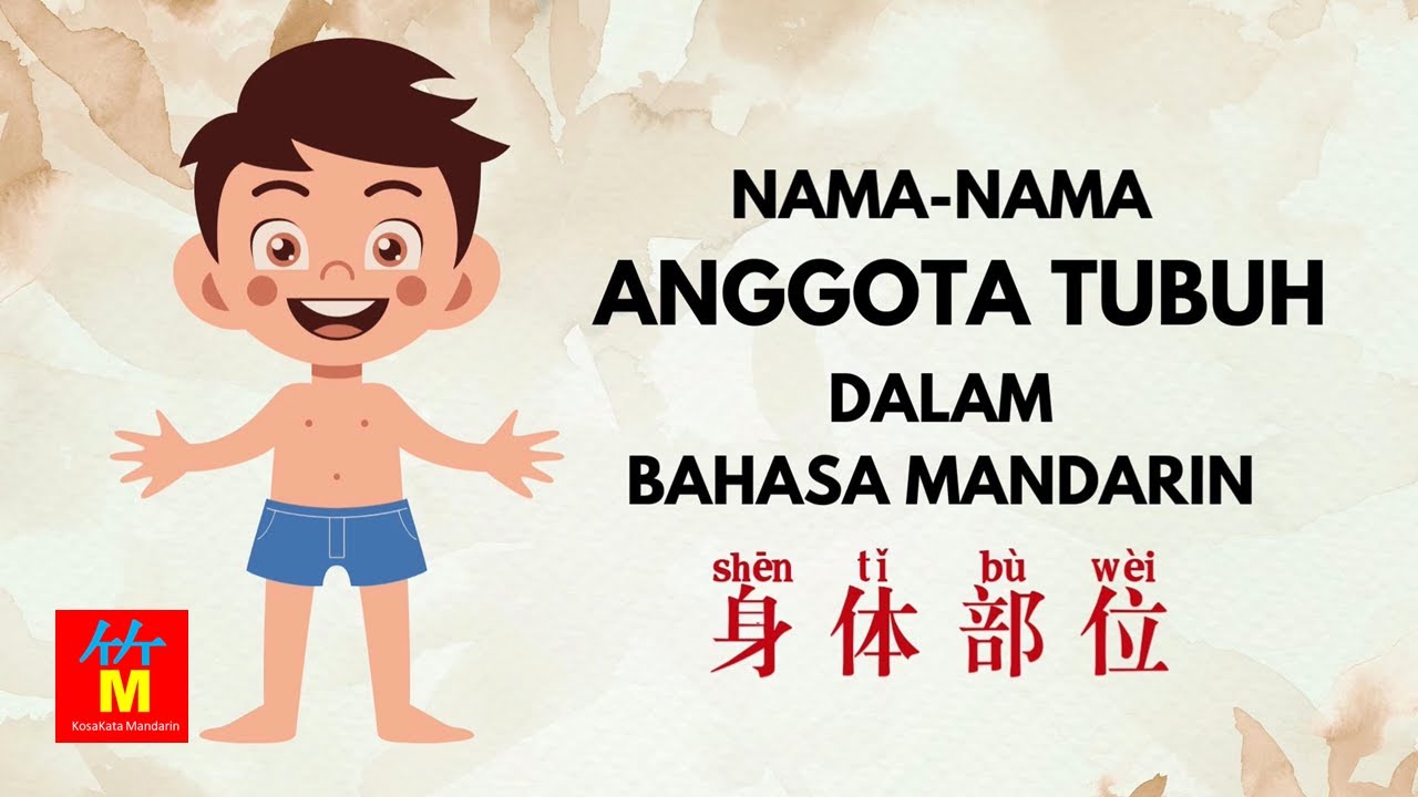 Nama Anggota Tubuh dalam Bahasa Mandarin | Belajar Kosakata Mandarin