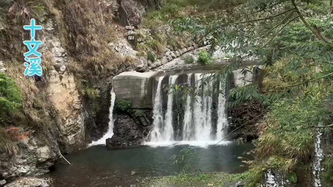 悠然自在行腳誌︰谷關、八仙山踏青趣 #谷關 #八仙山國家森林遊樂區 #八仙山主峰步道 #台灣旅遊 #Guguan # Basianshan Forest  #Travel in Taiwan